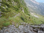 Qualcuno sta ancora salendo al passo.....